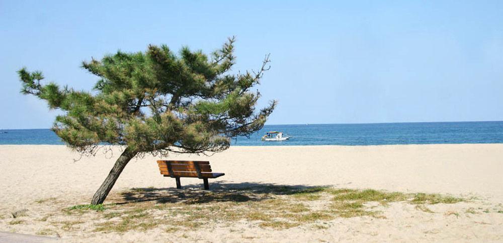 Pine Beach Yangyang Zewnętrze zdjęcie